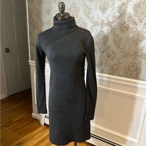 Theory turtle neck dress